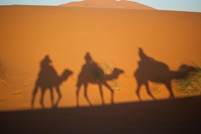 Los Reyes Magos en sus camellos.